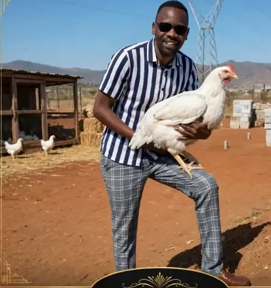 Man holding a large white chicken on a farm with coops and hills behind